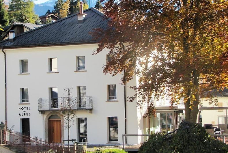 HOTEL DES ALPES DALPE